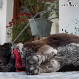 Morlimon 3* Alaçatı